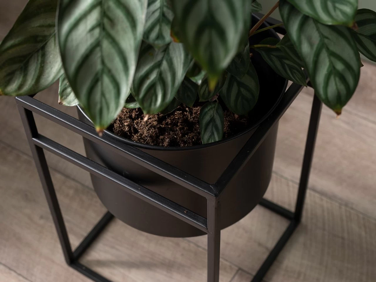 Brent Metal Plant Stand Black - Tall - Image 4