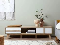 Jesse Entertainment Unit