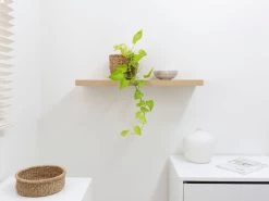 Floating Shelf - 60cm - Natural - CLEARANCE