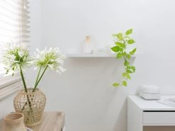 Floating Shelf - 60cm - White - CLEARANCE